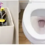 Creamy Mushroom Soup