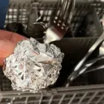 You’ll Never Believe What’s Hiding In This Forest