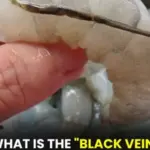 Truths You Need To Know