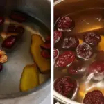 Multiply the Magic: The Ultimate Guide to Propagating Your Christmas Cactus