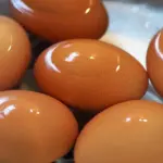 Yellow Stuff Starts Dripping Down Your Bathroom Walls? Here’s What It Might Be