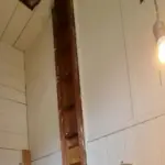 The Secret Behind Those Strange Leaf Structures on Playgrounds