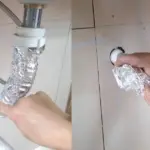 The Secret Behind Those Strange Leaf Structures on Playgrounds