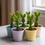 Benefits of Boiling Ginger with Dates: The Ancient Vitality Drink Passed Down for Generations