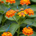 The Pruning Prompt: 7 Undeniable Signs Your Christmas Cactus is Begging for a Trim