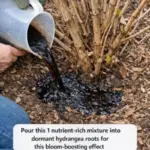 My hands suddenly look thin and crepey in winter, and lotion barely helps. What can I do right now?