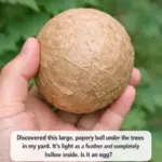 My mom taught me this trick to clean dirty window tracks with 0 effort. Here’s how it works