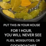 Thick, Creamy Tzatziki — Never Watery