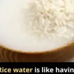 Gardening Enchantment: Transforming Tomato Slices into Tomatoes