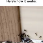 An early sign of Alzheimer’s disease can be noticed while taking a shower: what should you look out for?