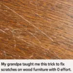 Stuffed Cabbage Rolls (Classic Comfort Dish)