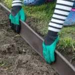 Found this weird fuzzy cone with bright red berries popping out of it under my tree. It looks like a hand grenade or something alien. Does anyone know what this is?