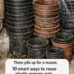 Want perfectly edged grass around your garden beds? Follow these 7+ tips