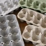 Gardening Enchantment: Transforming Tomato Slices into Tomatoes