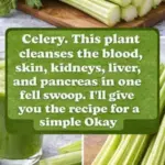 A Dairy Queen Restaurant Has Gotten Itself Into Trouble With This Controversial Sign. The Worst Part? The Owner Refuses to Apologize