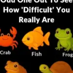 9 Signs Your Home Is Dirtier Than You Think