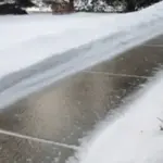 Don’t Toss Tangerine Peels! Put Them on Your Windowsills Instead