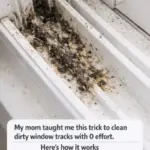 Discovered this large, papery ball under the trees in my yard. It’s light as a feather and completely hollow inside. Is it an egg?