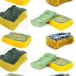 Stuffed Cabbage Rolls (Classic Comfort Dish)