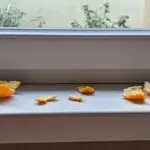 How To Safely De-Ice Your Walkways This Winter