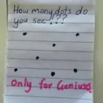 Potato and Minced Meat Stuffed Cabbage Rolls