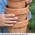 People born between 1940 and 1985 constitute a unique generation.