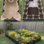 Rose Care in March: 7 Things You Shouldn’t Forget