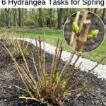 Turn One Wooden Pallet Into a Strawberry Garden That Produces for Years