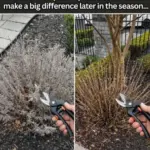 Expert Carrot Planting Technique: Revolutionizing Growth with an Unconventional Method