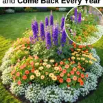 How to Grow Blueberries in Containers: A Step-by-Step Beginner’s Guide