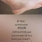 How to Clean Small Window Sunshades