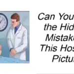 How to Grow Blueberries in Containers: A Step-by-Step Beginner’s Guide