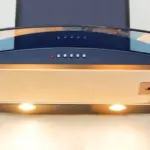 5 Reasons Seniors Should Add Oregano to Their Diet (A Simple Herb with Surprising Benefits)