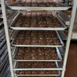 Clove Extract and Cancer Research