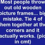 Don’t Toss Tangerine Peels! Put Them on Your Windowsills Instead