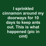 Found in a box of old sewing stuff at a garage sale. It looks like small metal tongs with padded discs at the end and a loop for a chain. What on earth is this thing used for?