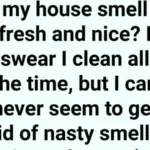 What did you see at first glance? 97% of people saw a snake! Find out if your old age will be sweet or bitter!