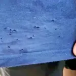 Why Everyone’s Buzzing About THIS Game-Changing Morning Brew!