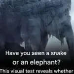 Most people throw these away. 10 genius ways to reuse old toothbrushes