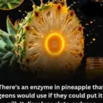 Clove Extract and Cancer Research